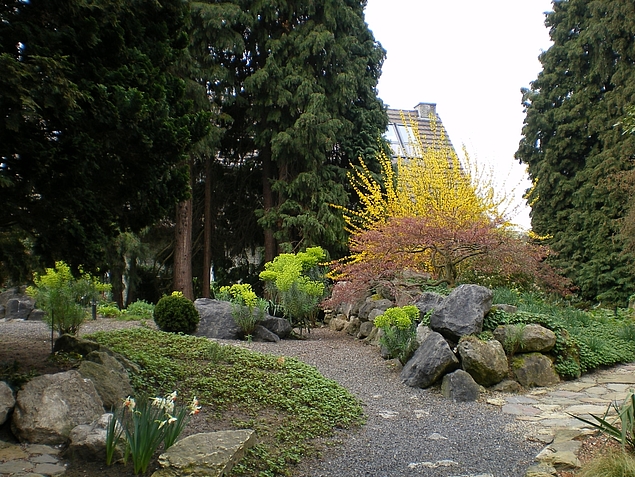 Steingarten mit Euphorbien