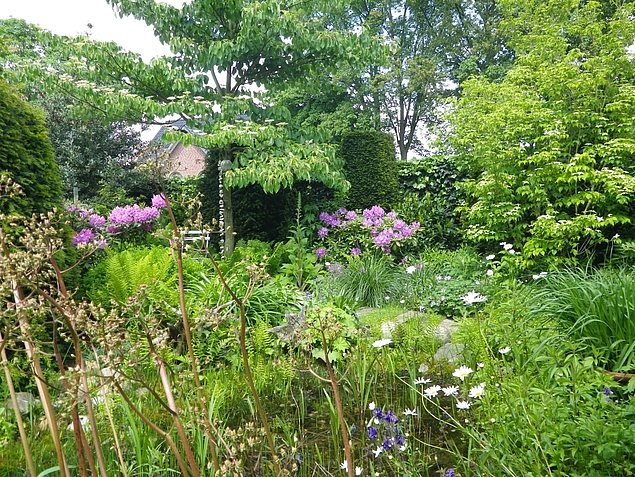frühlingshaftes Gartenzimmer mit Rhododendron
